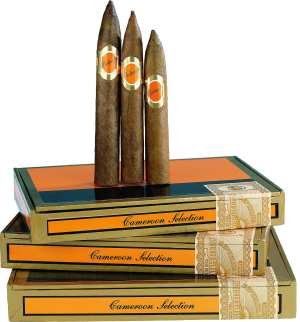 Belmore cameroon petit torpedo.jpg
