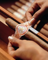 Hoyo bauchbinde hs.jpg