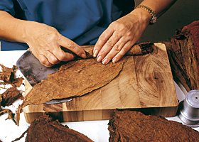 Zigarrenaufbau Umblatt.jpg