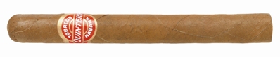 Quintero-Panetelas.jpg